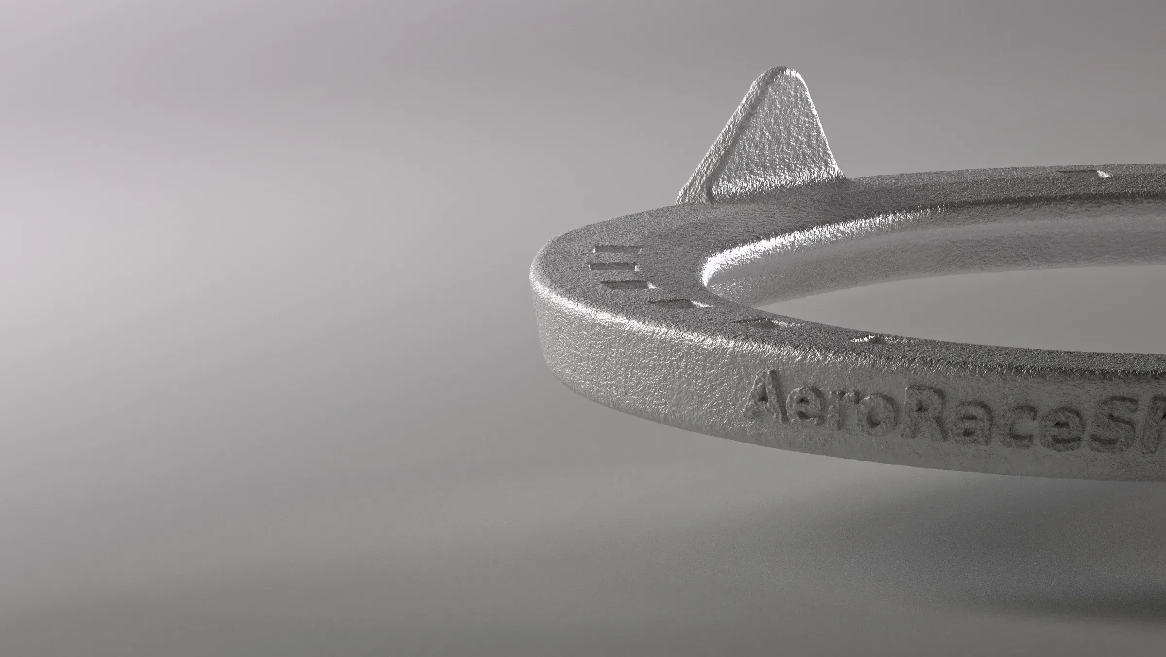 AeroRaceShoes racehorse shoe product detail